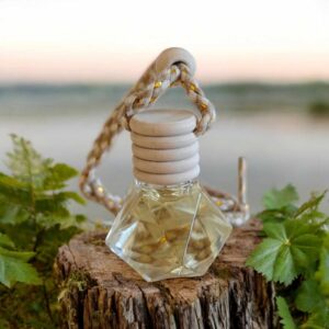 Diffuseur voiture avec recharge